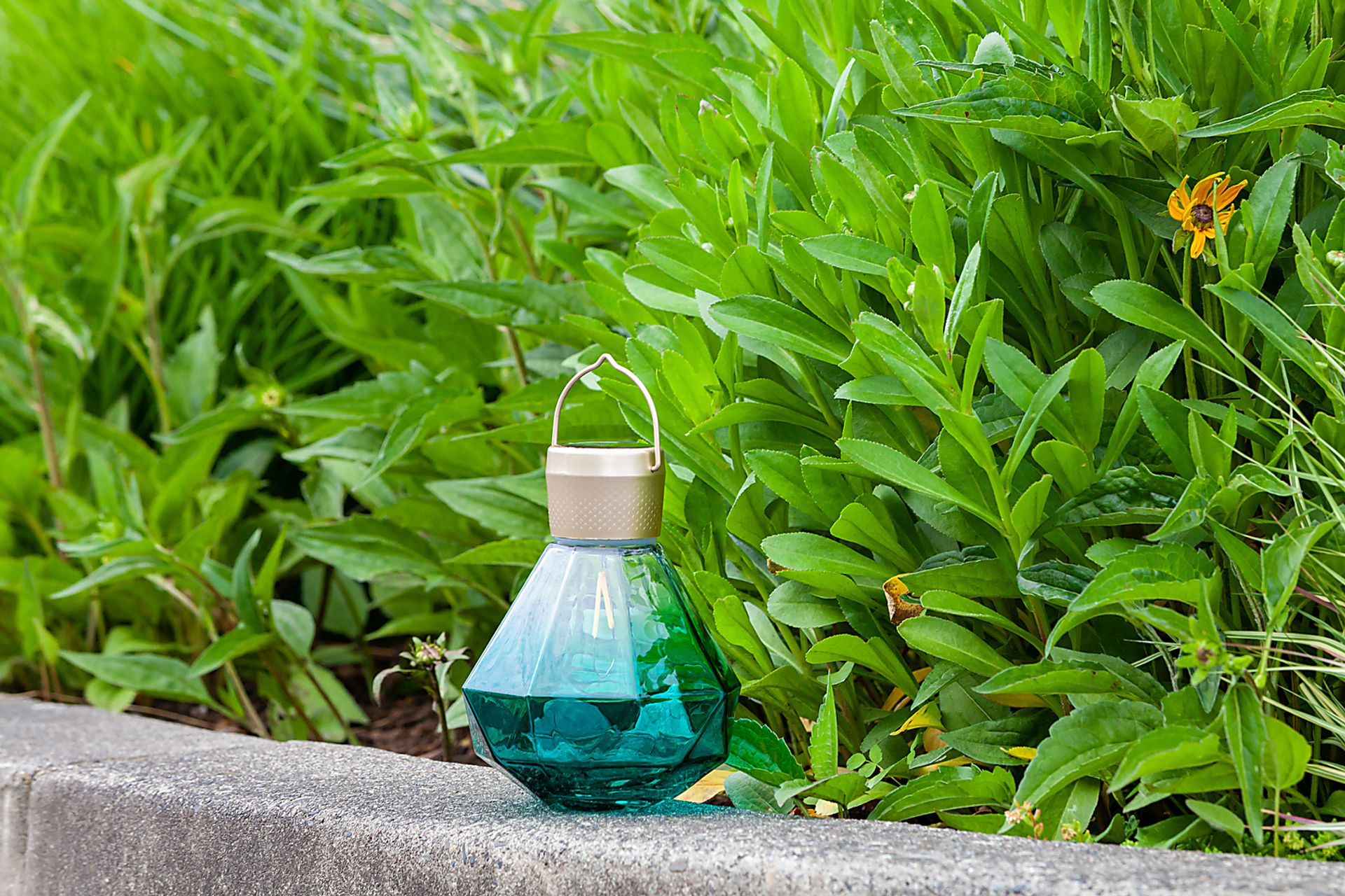 Yeser Cave Outdoor Emerald Solar Lantern - Image 9