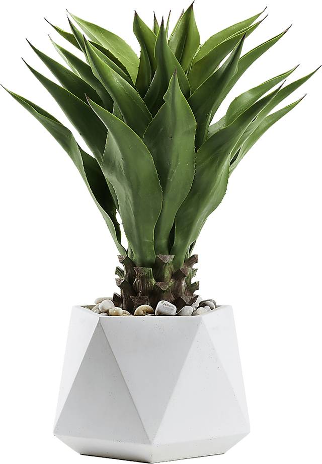 Yoro Green 32 in. Artificial Sisal Tree in White Planter - Thumbnail - Image 1