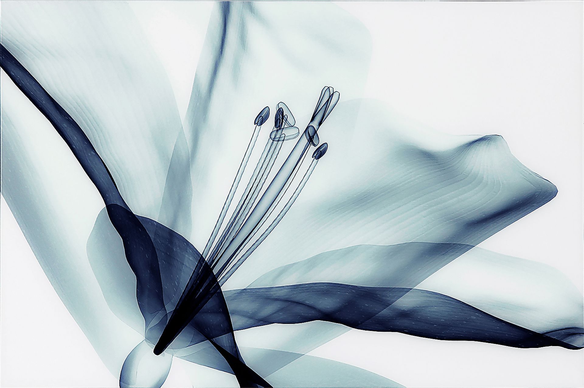 Zafarano Blue Artwork - Image 1