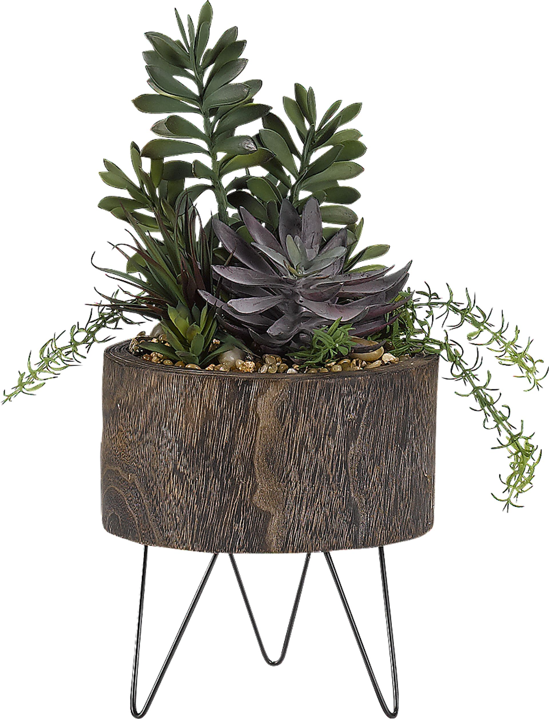 Zaiden Green Succulent Silk Plant - Image 1