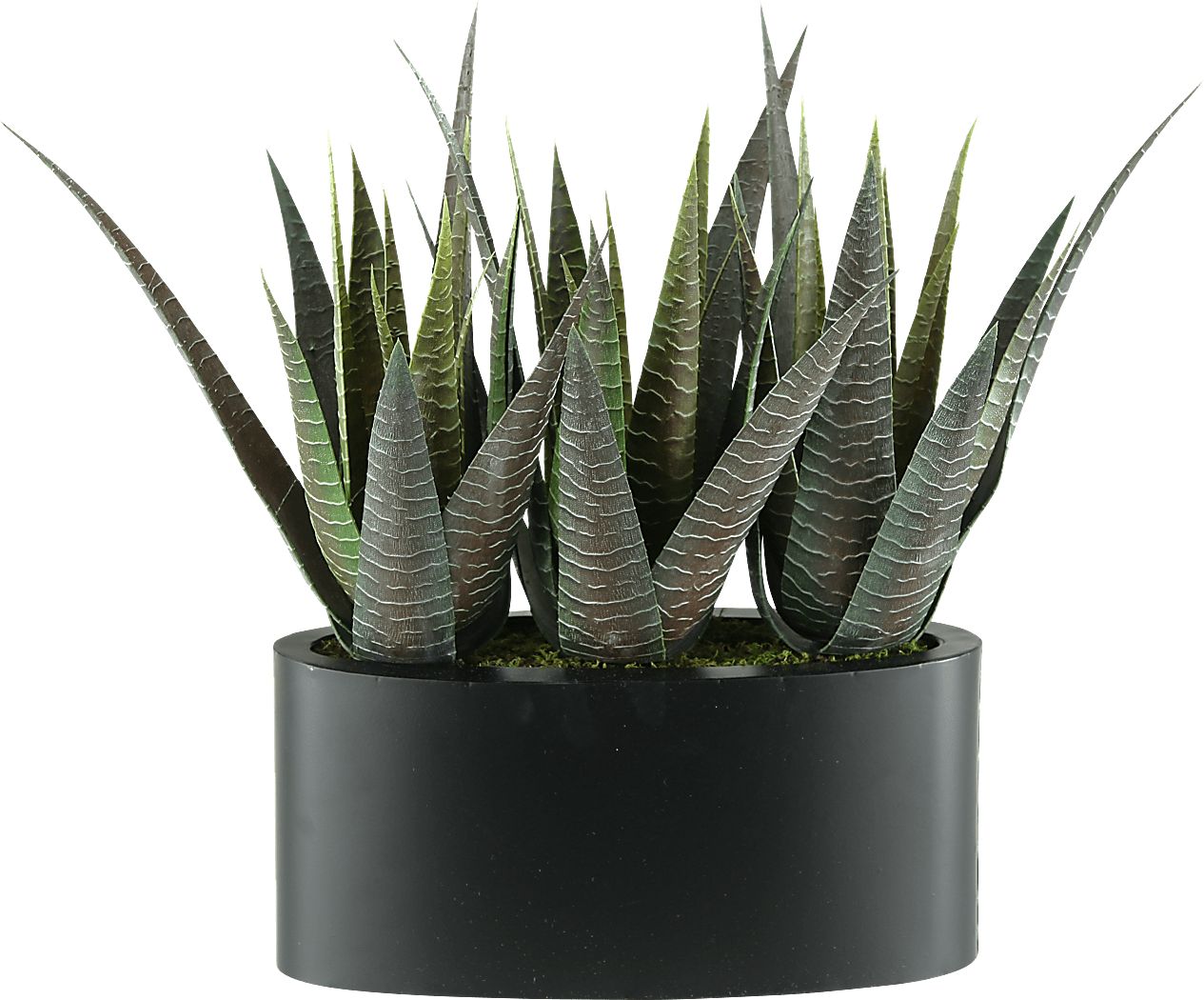 Zayin Green Agave Silk Plant