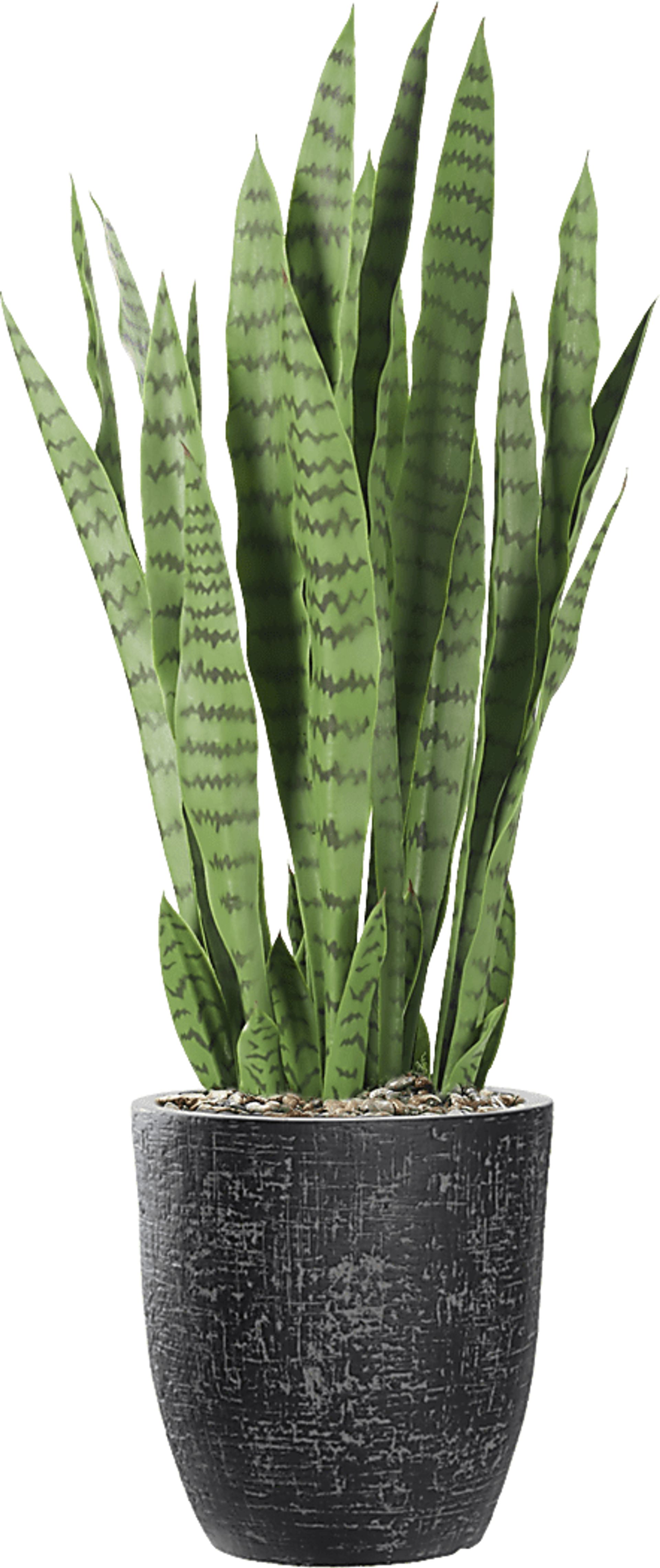 Zenara 30 in. Sansevieria UV Artificial Plant in Black Planter - Image 1