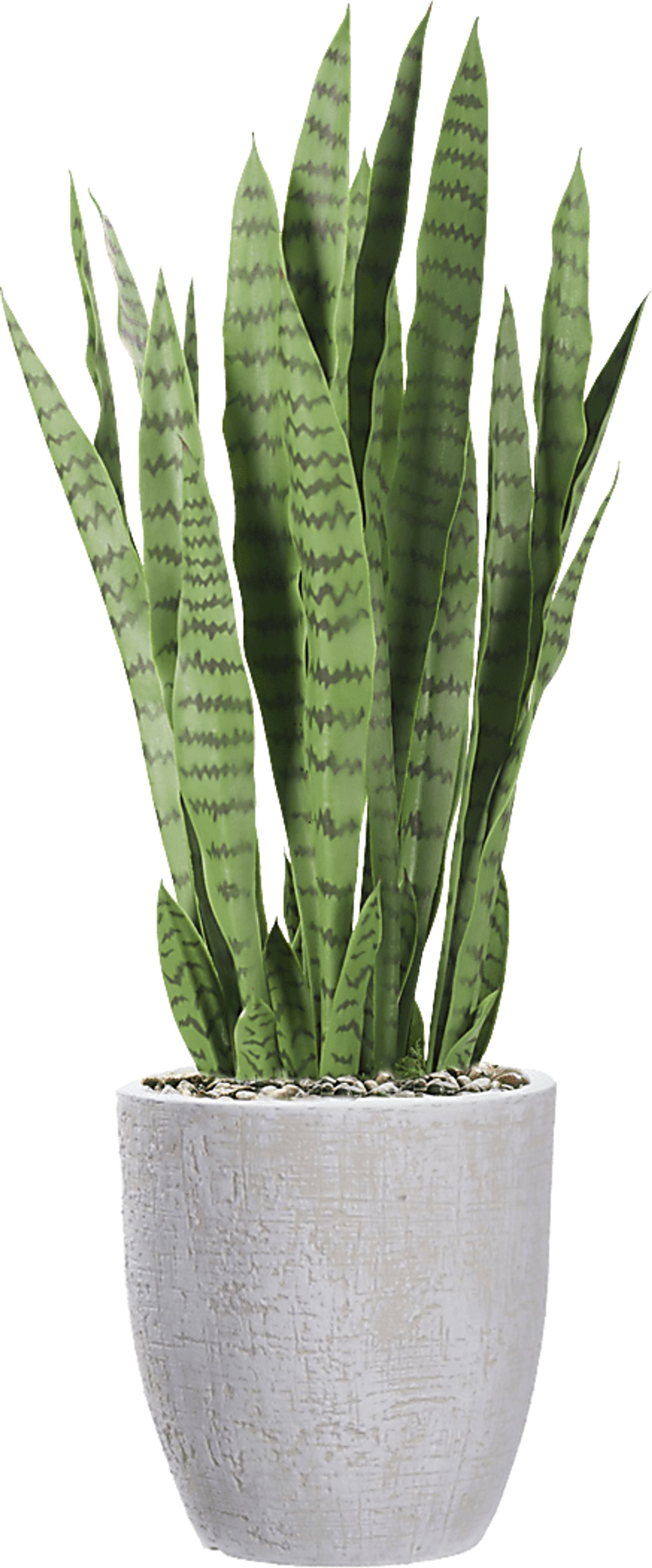 Zenara 30 in. UV Artificial Sansevieria in White Planter - Image 1