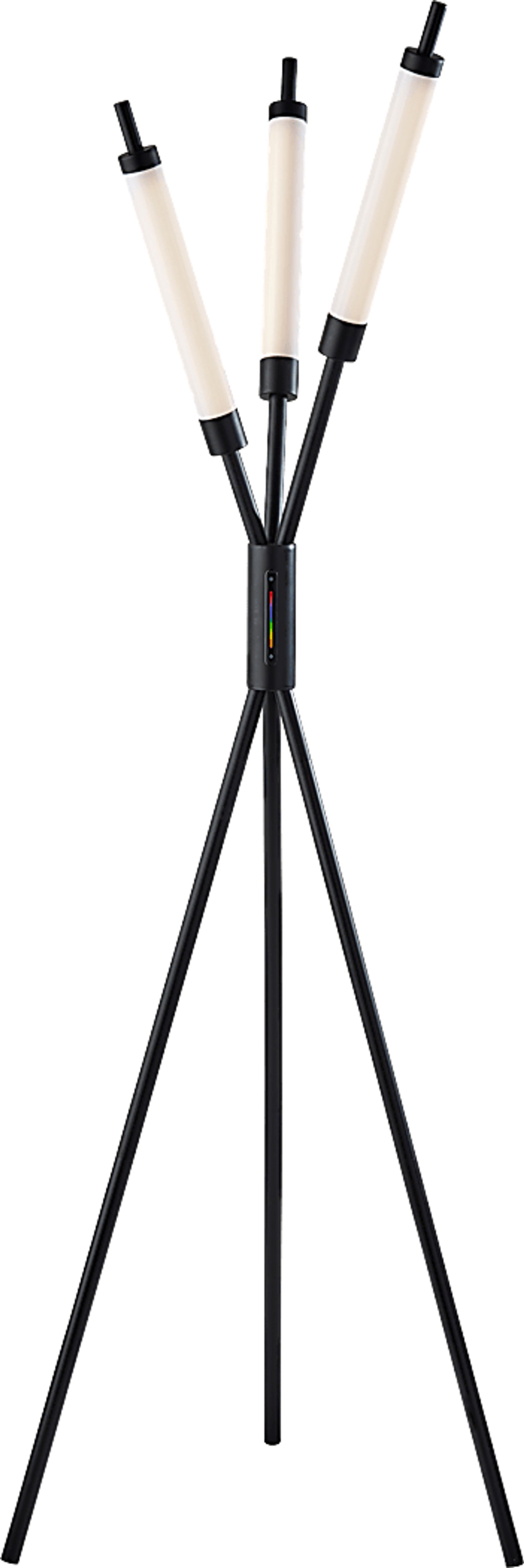 Zenith Loop Black Tree Floor Lamp - Image 1