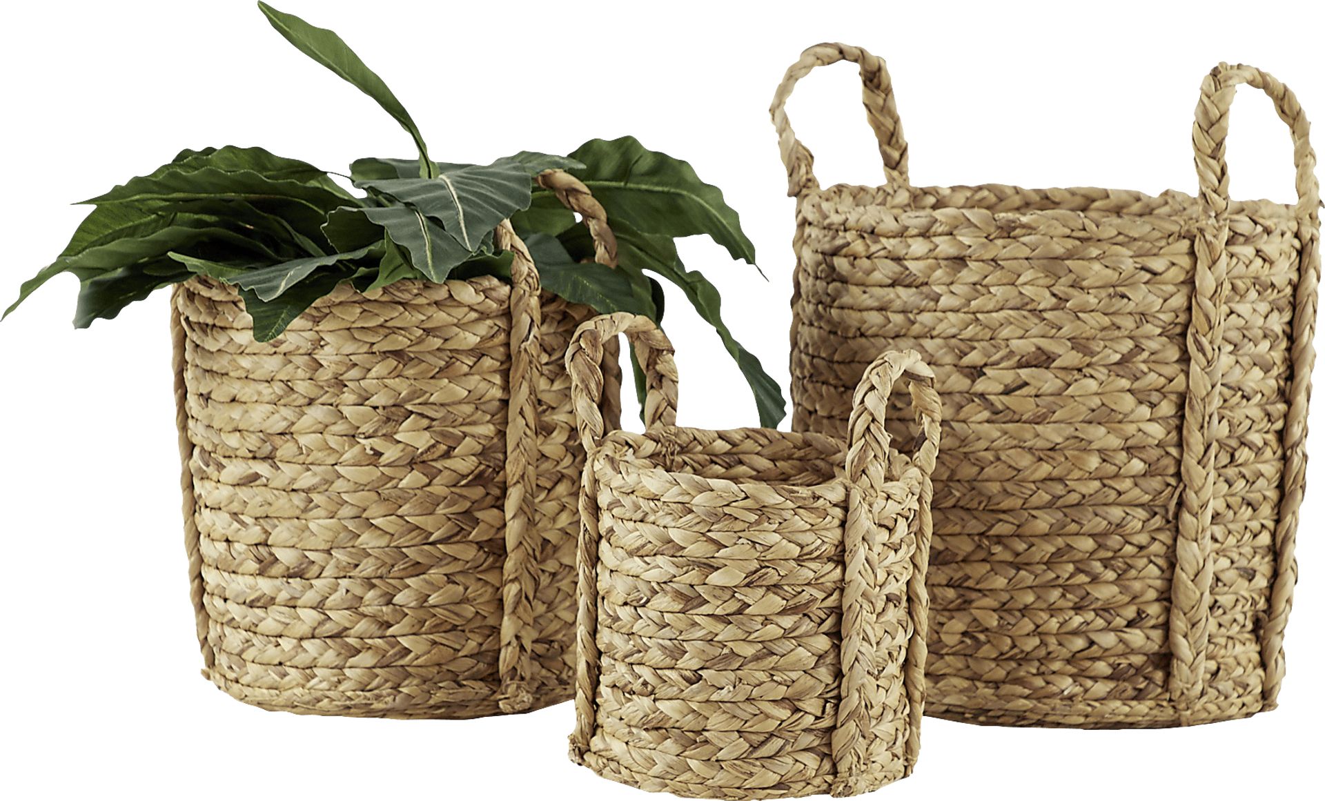 Zesti Brown Basket, Set of 3 - Image 5