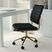 Zubicek Black Office Chair