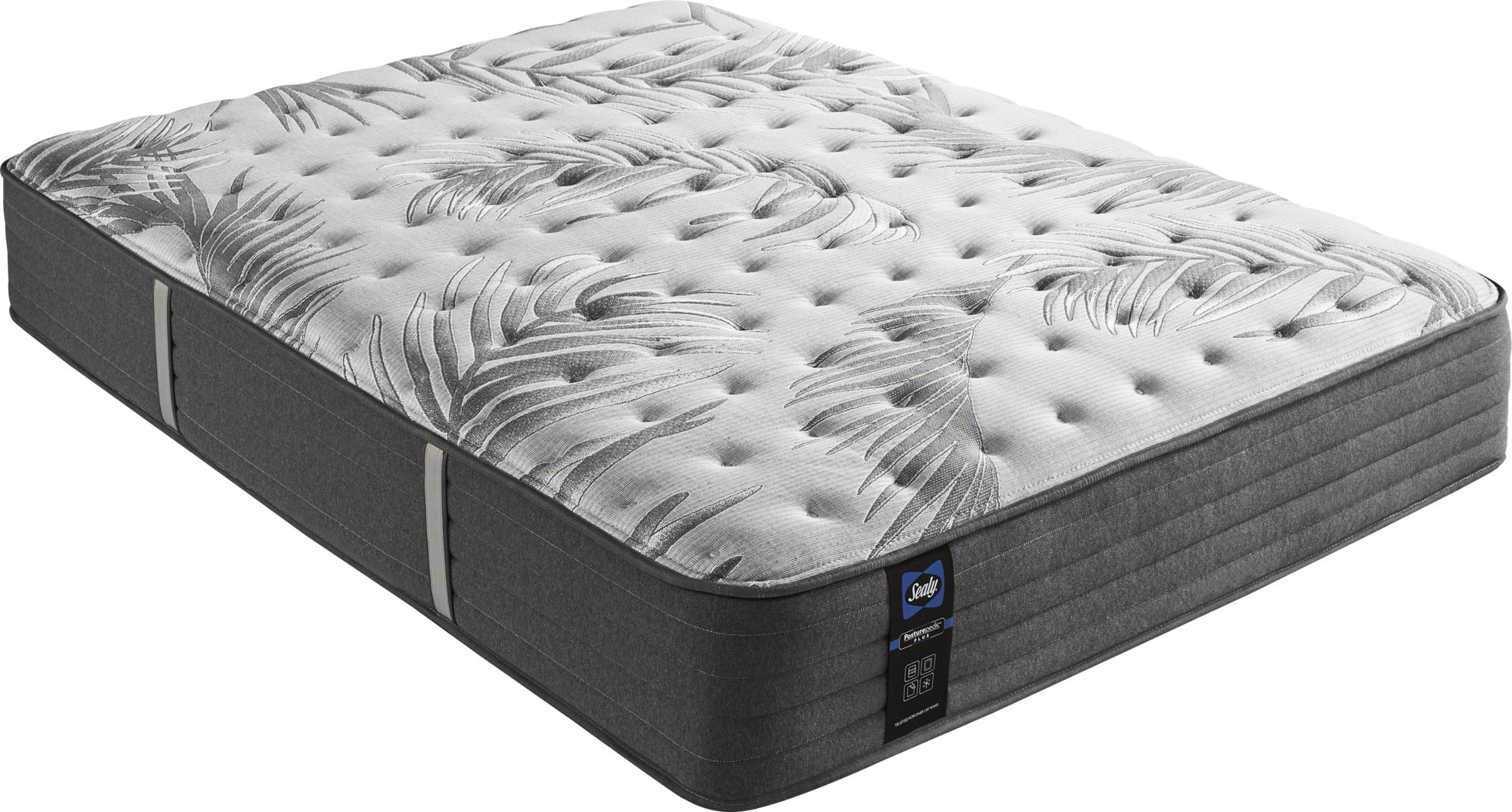 sealy thrilled plush queen mattress