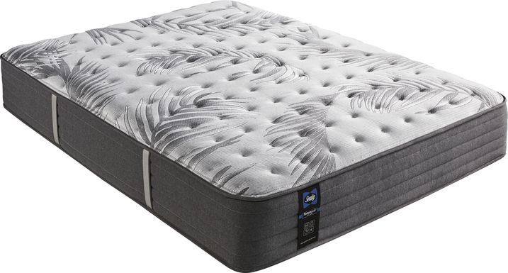 sealy auburn mattress queen