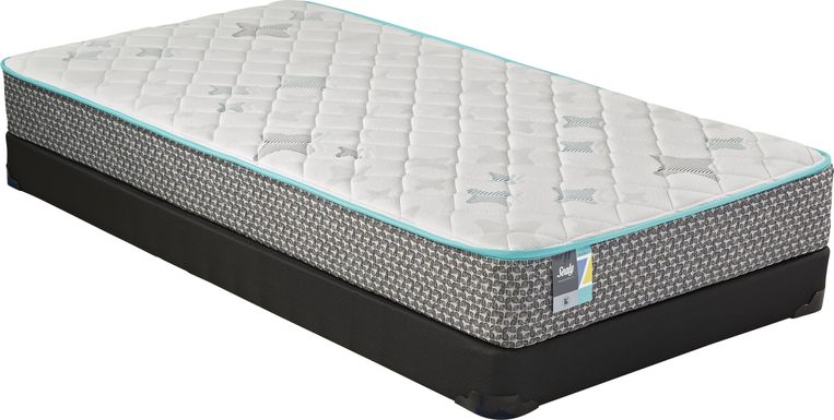 sealy standard twin sized mattress