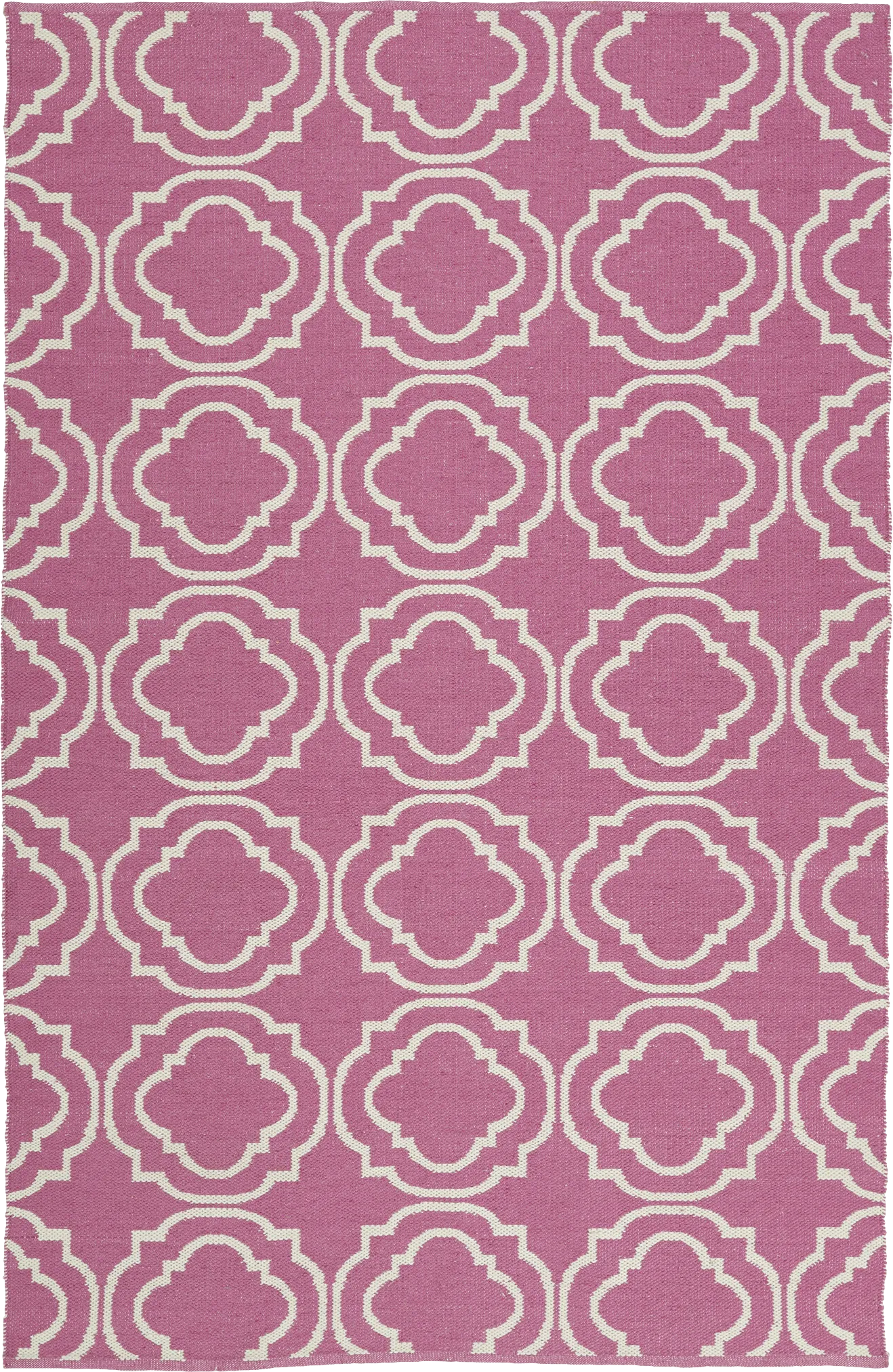 Diaz Pink 8' x 10' Indoor/Outdoor Rug - Image 1