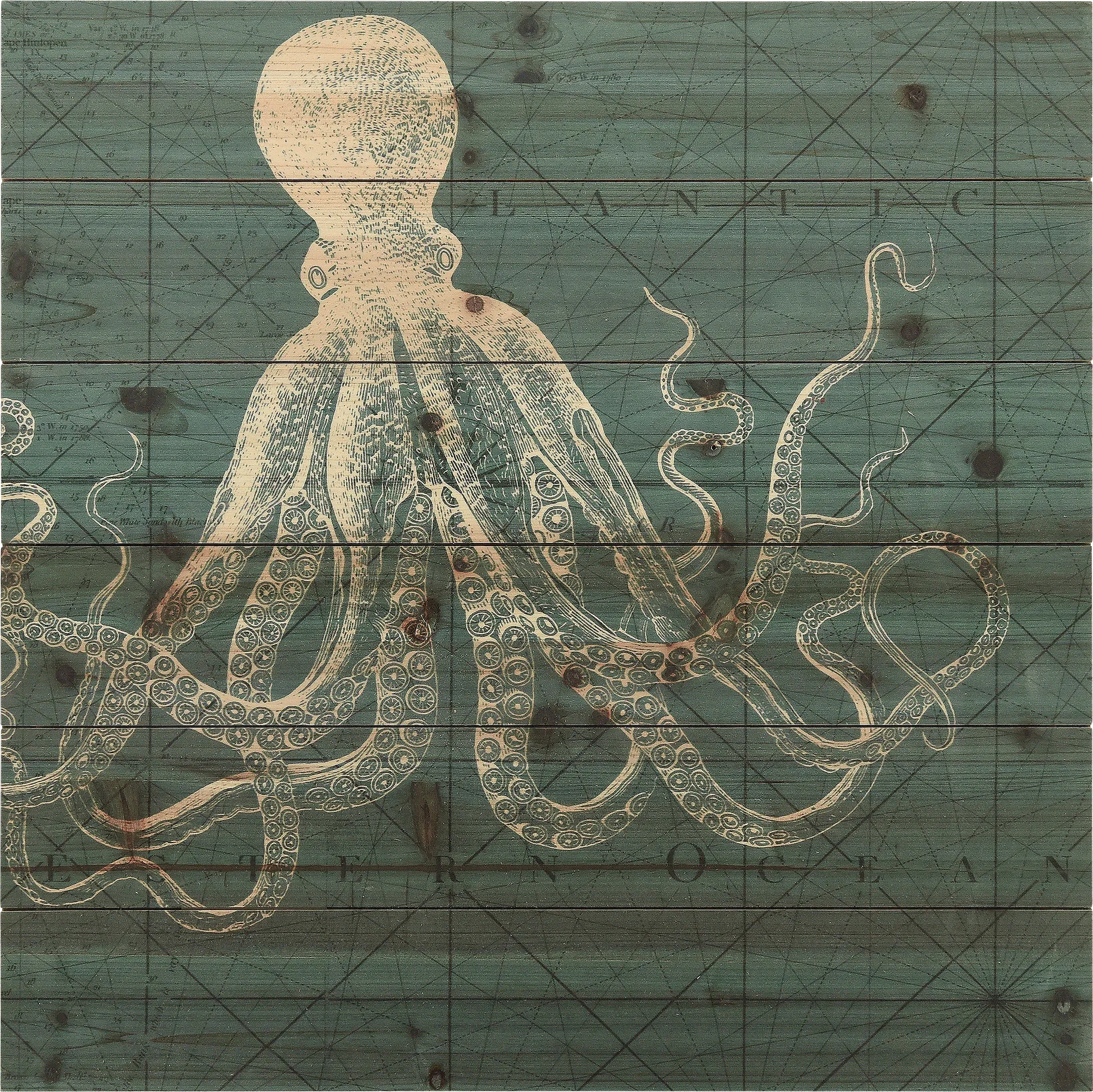 Seaside Charm II Artwork - Image 1