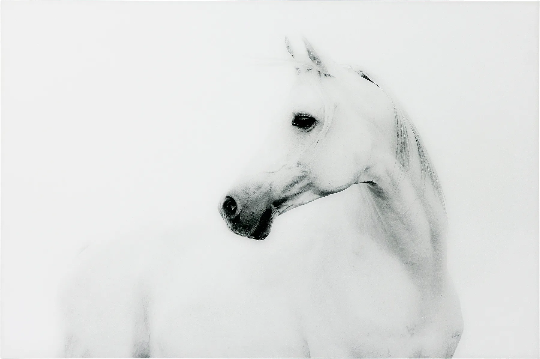 First Winter Artwork - Image 1