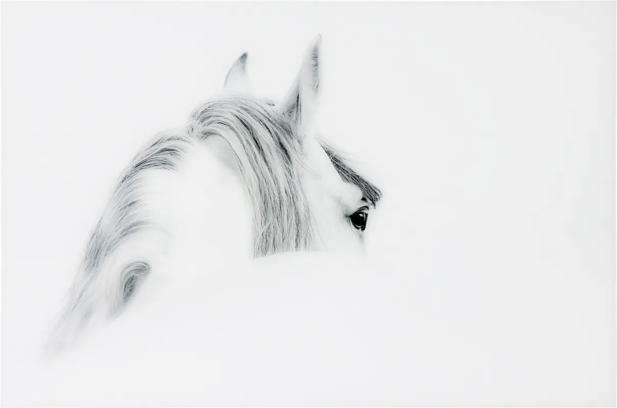 Winter Stare Artwork