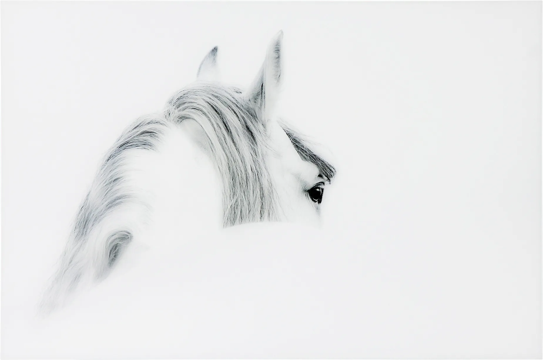 Winter Stare Artwork - Image 1