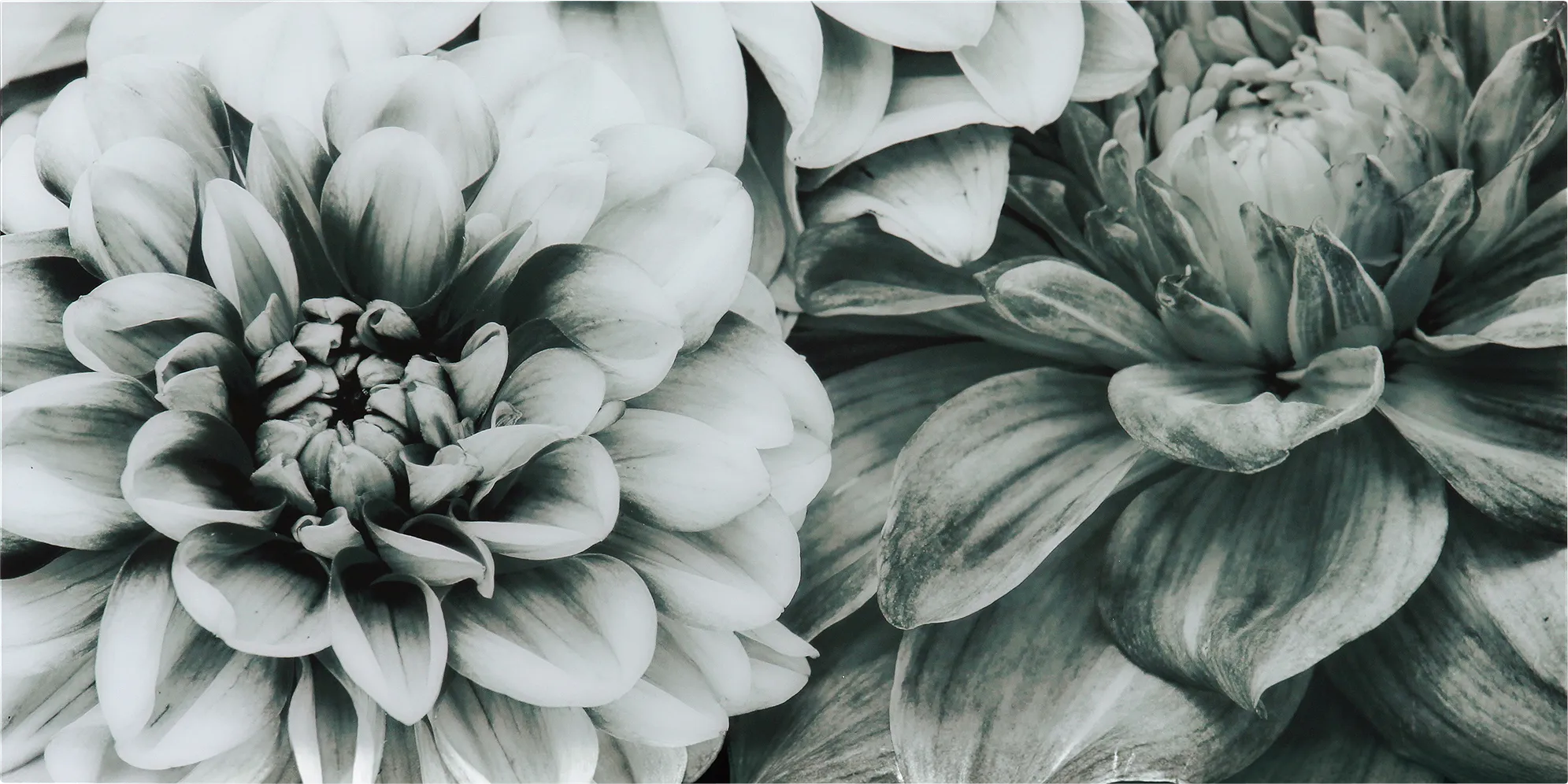 Blooming Season Artwork - Thumbnail - Image 1