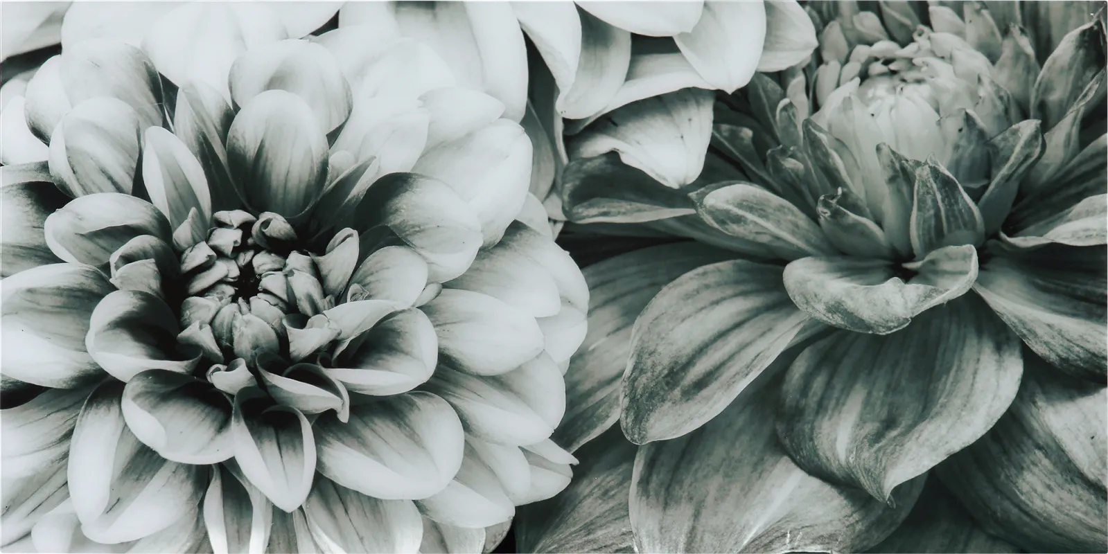 Blooming Season Artwork