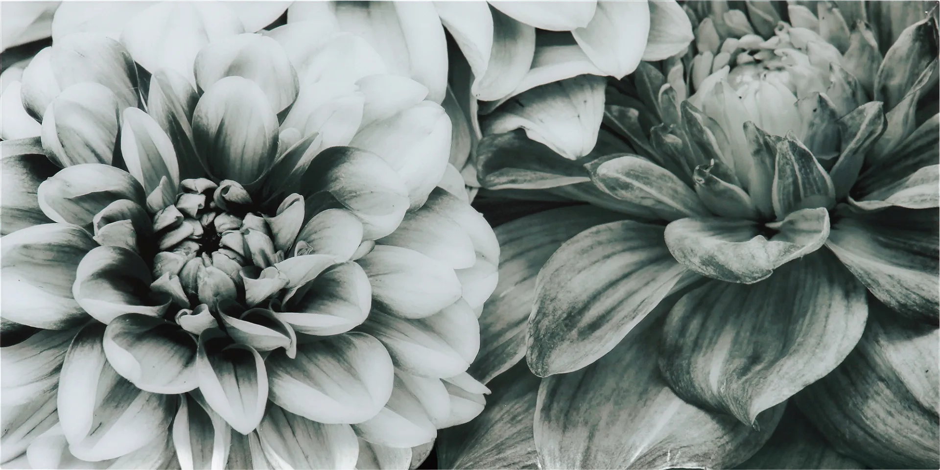 Blooming Season Artwork - Image 1