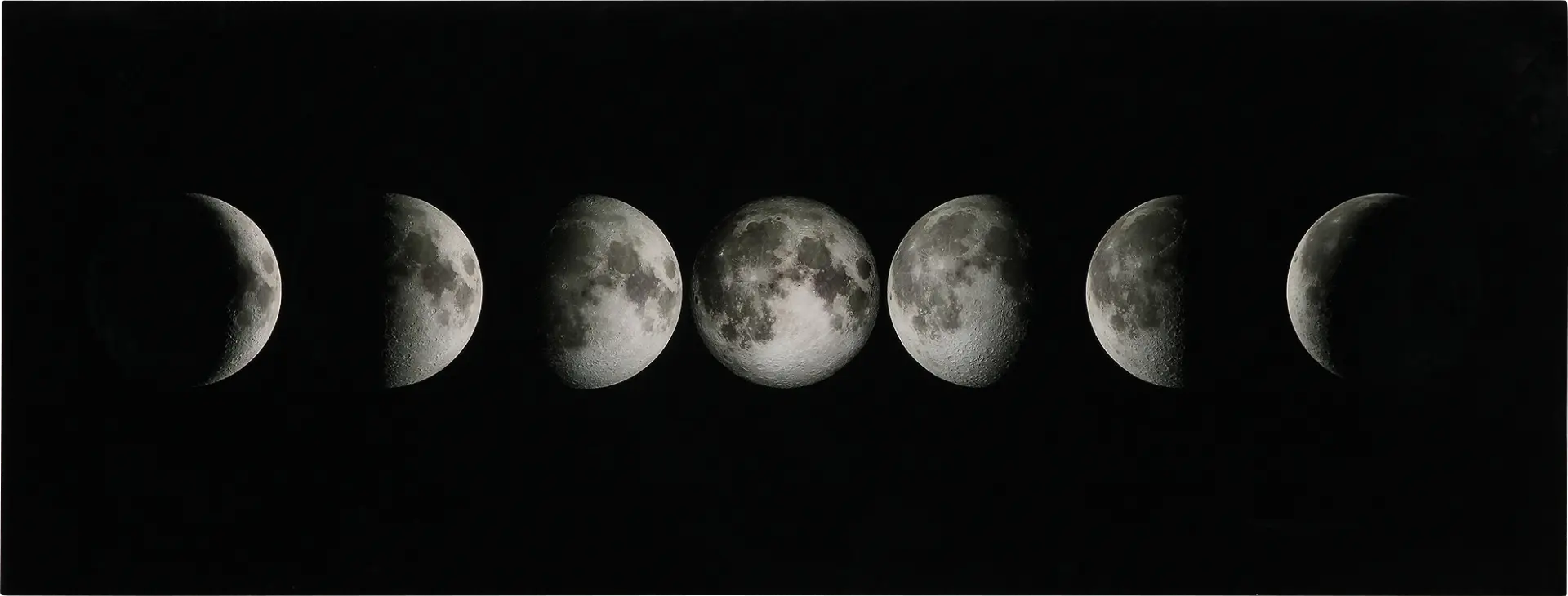 Phases of the Night Artwork