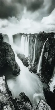 Fresh Perspective Artwork