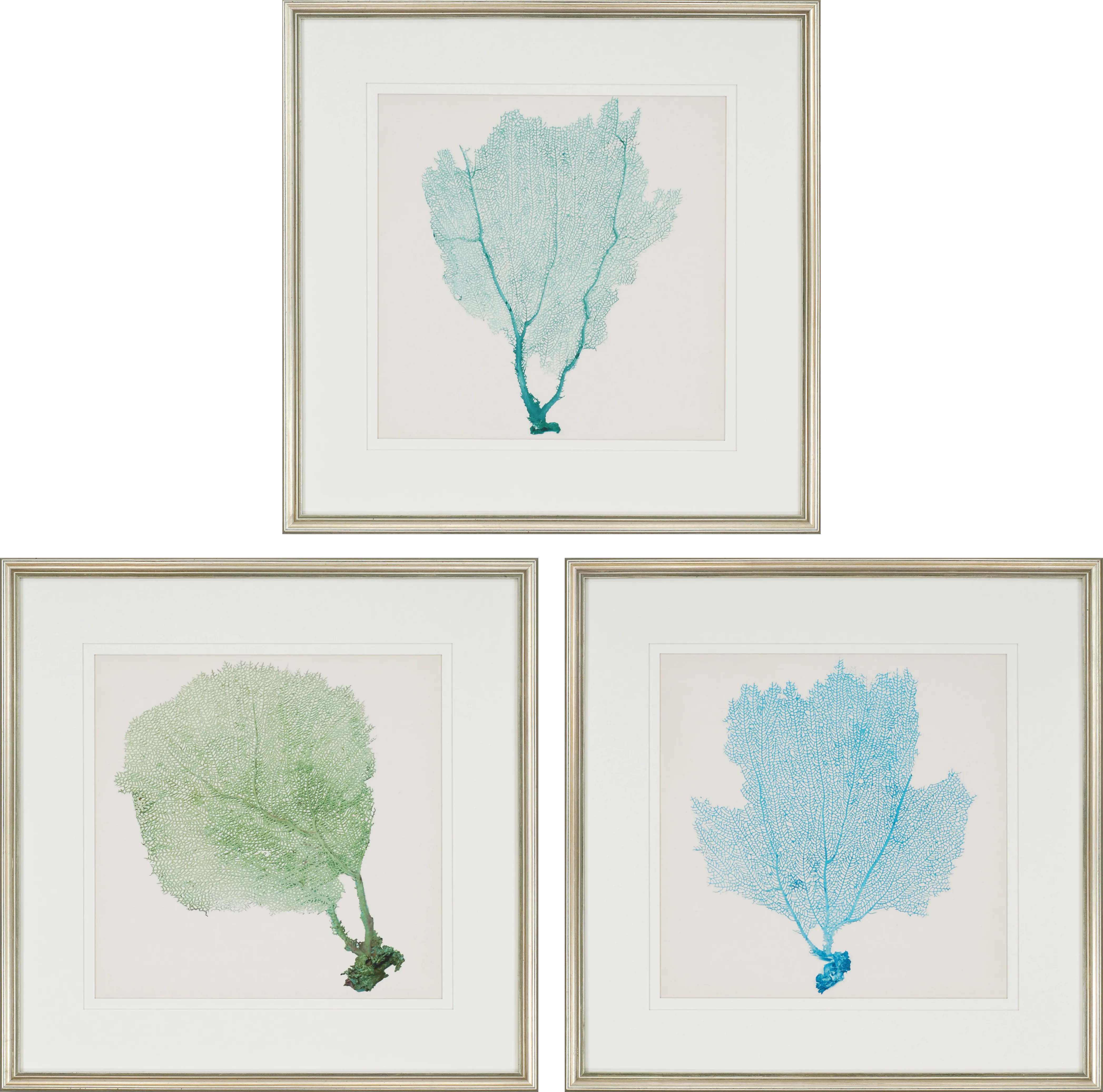 Sarvene I Set of 3 Artwork - Thumbnail - Image 1