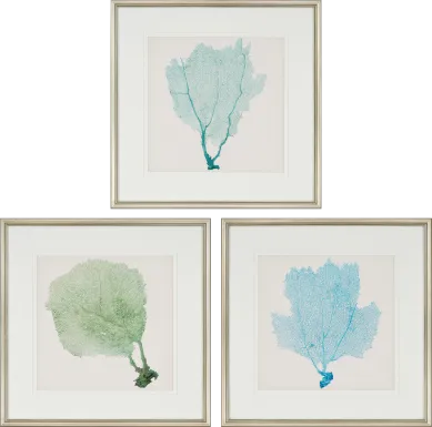 Sarvene I Set of 3 Artwork