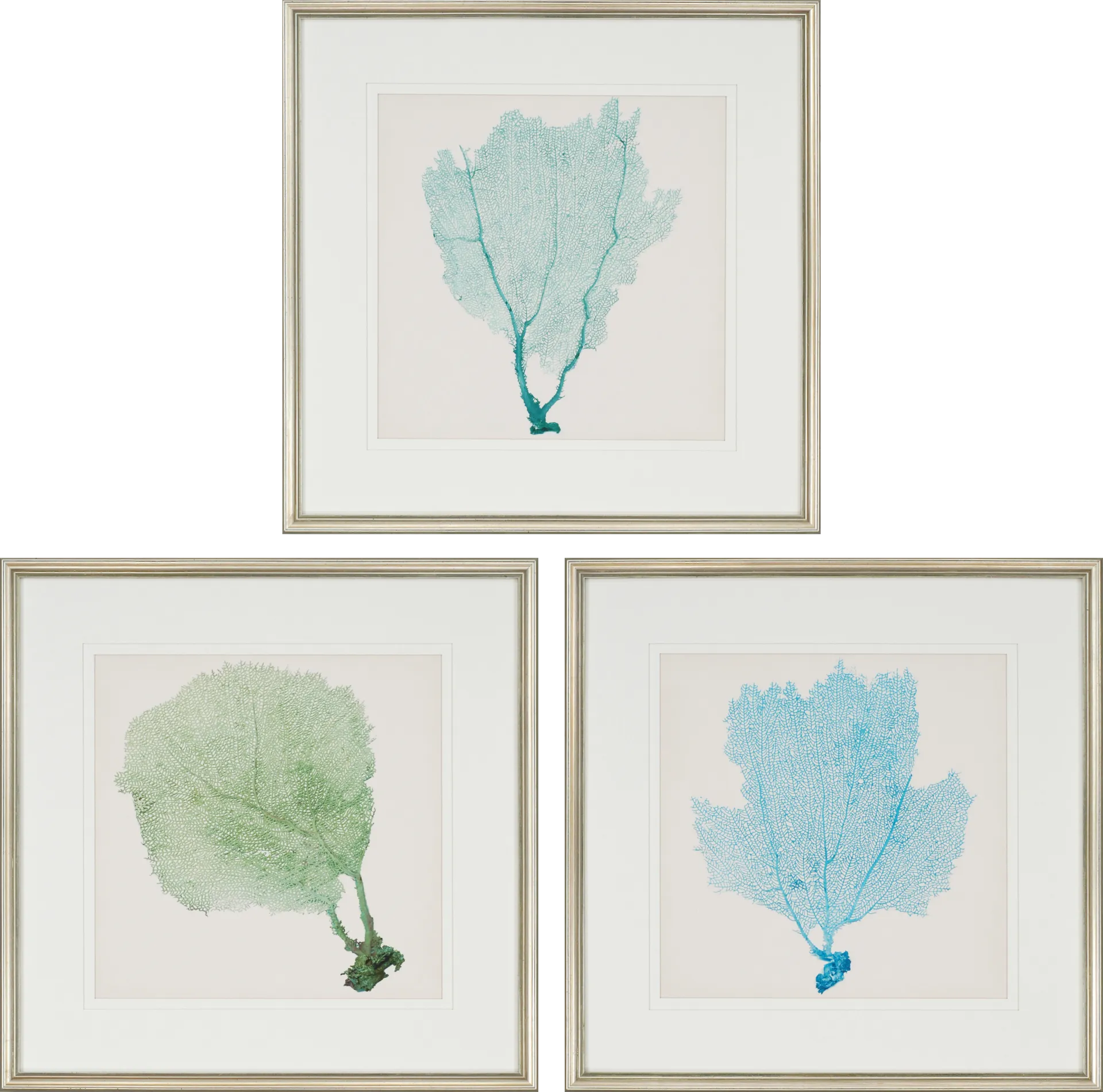 Sarvene I Set of 3 Artwork - Image 1