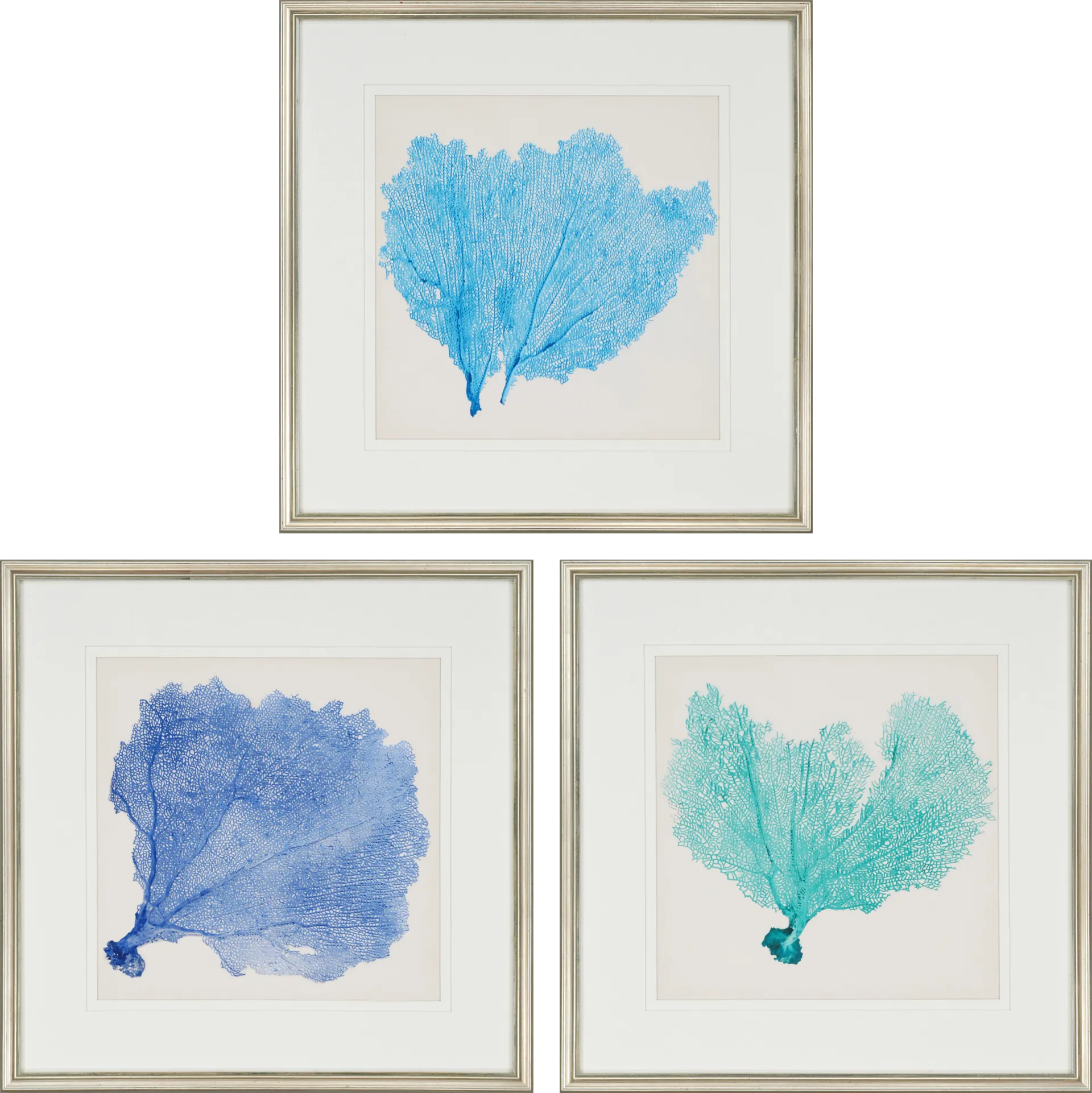 Sarvene II Set of 3 Artwork - Image 1