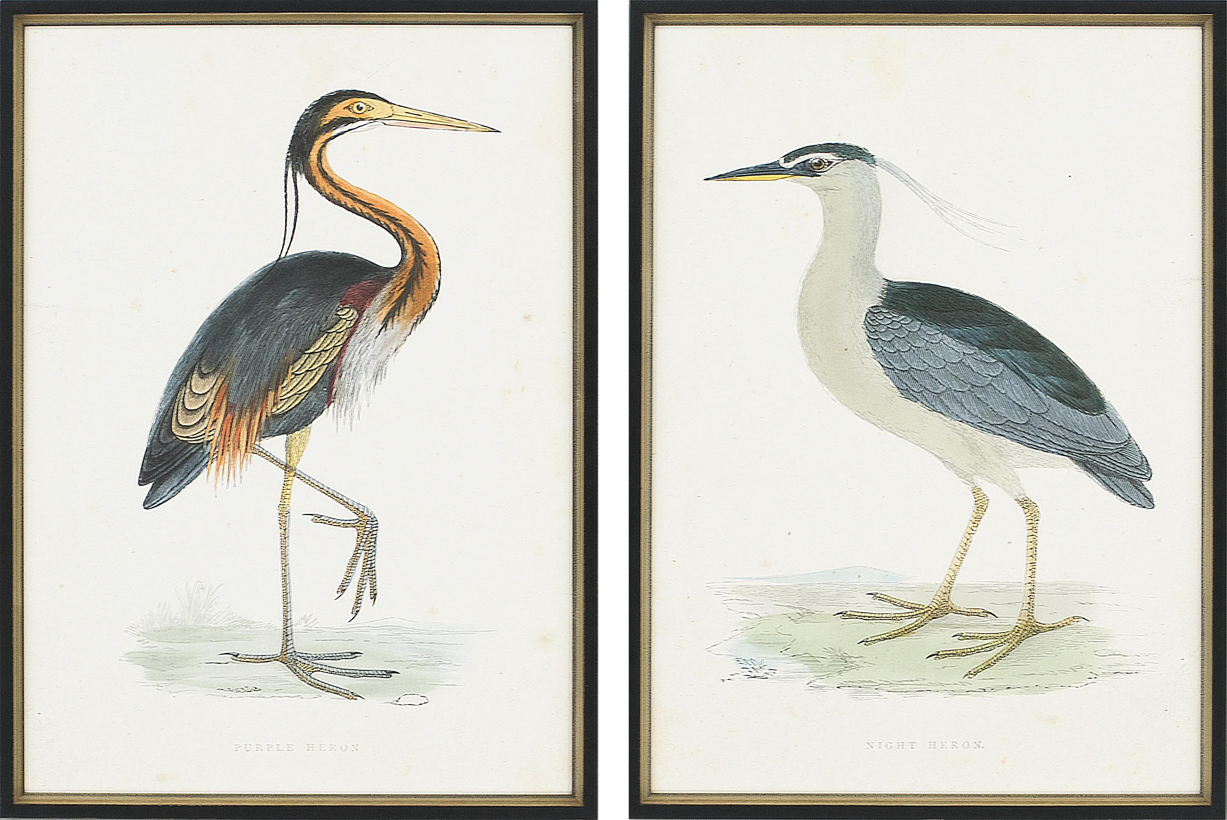 Hethwood Brown Artwork, Set of 2