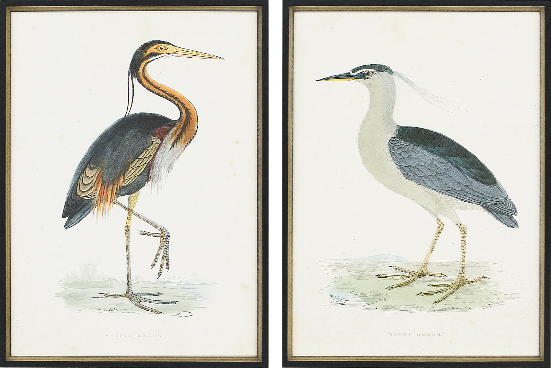 Hethwood Brown Artwork, Set of 2 - Image 1