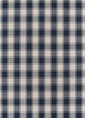 Pasadena Heights Navy 8' x 10' Rug