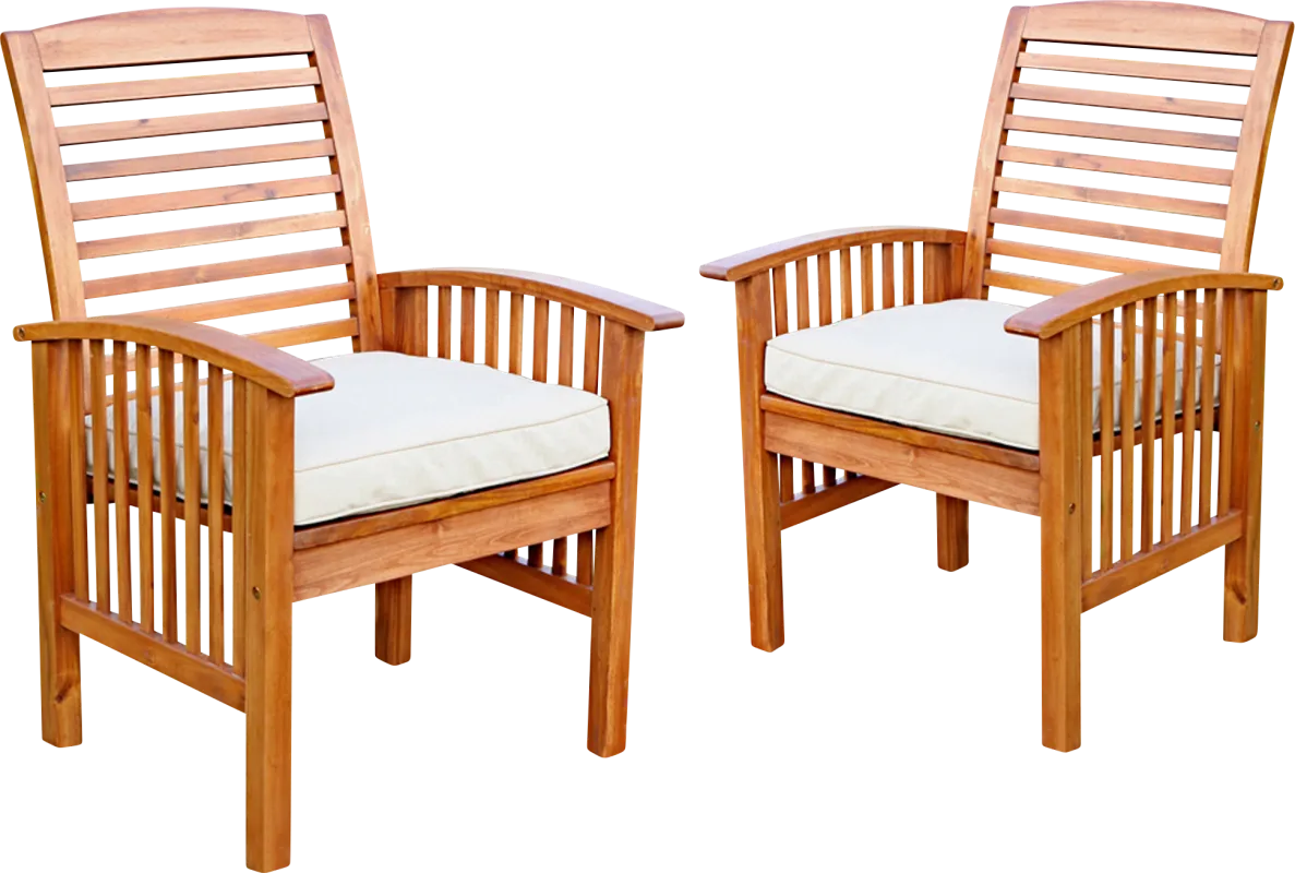 Dunsmere Brown Outdoor Accent Chair, Set of 2