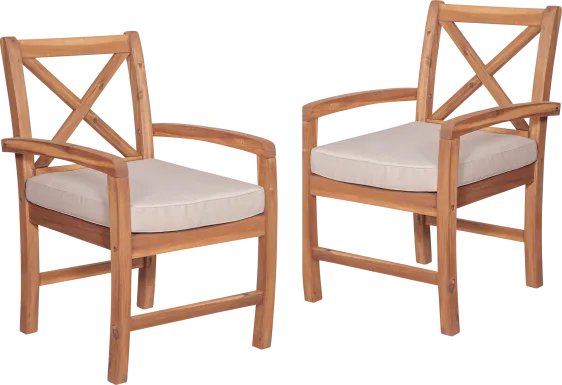 Harlanwood Brown Outdoor Accent Chair, Set of 2