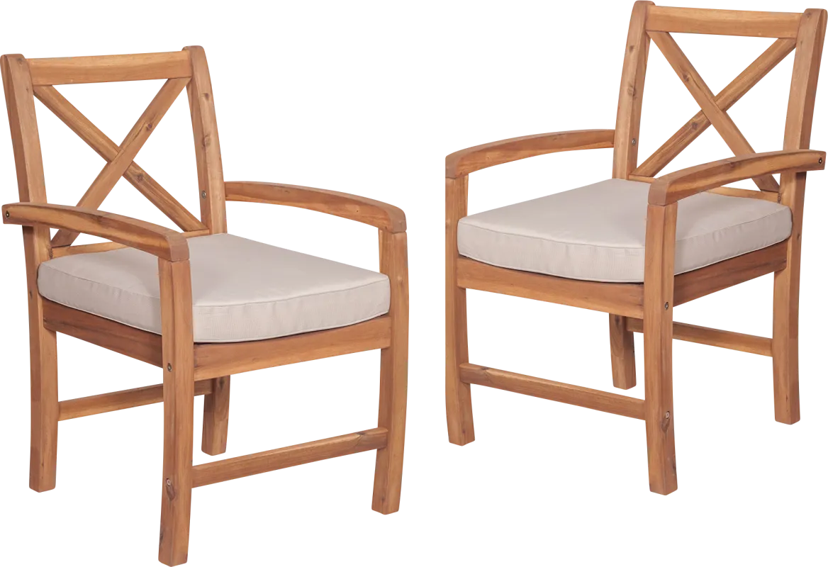 Harlanwood Brown Outdoor Accent Chair, Set of 2