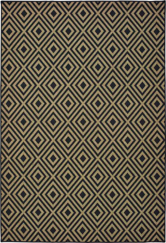 Delores Black 5'3 x 7'6 Indoor/Outdoor Rug