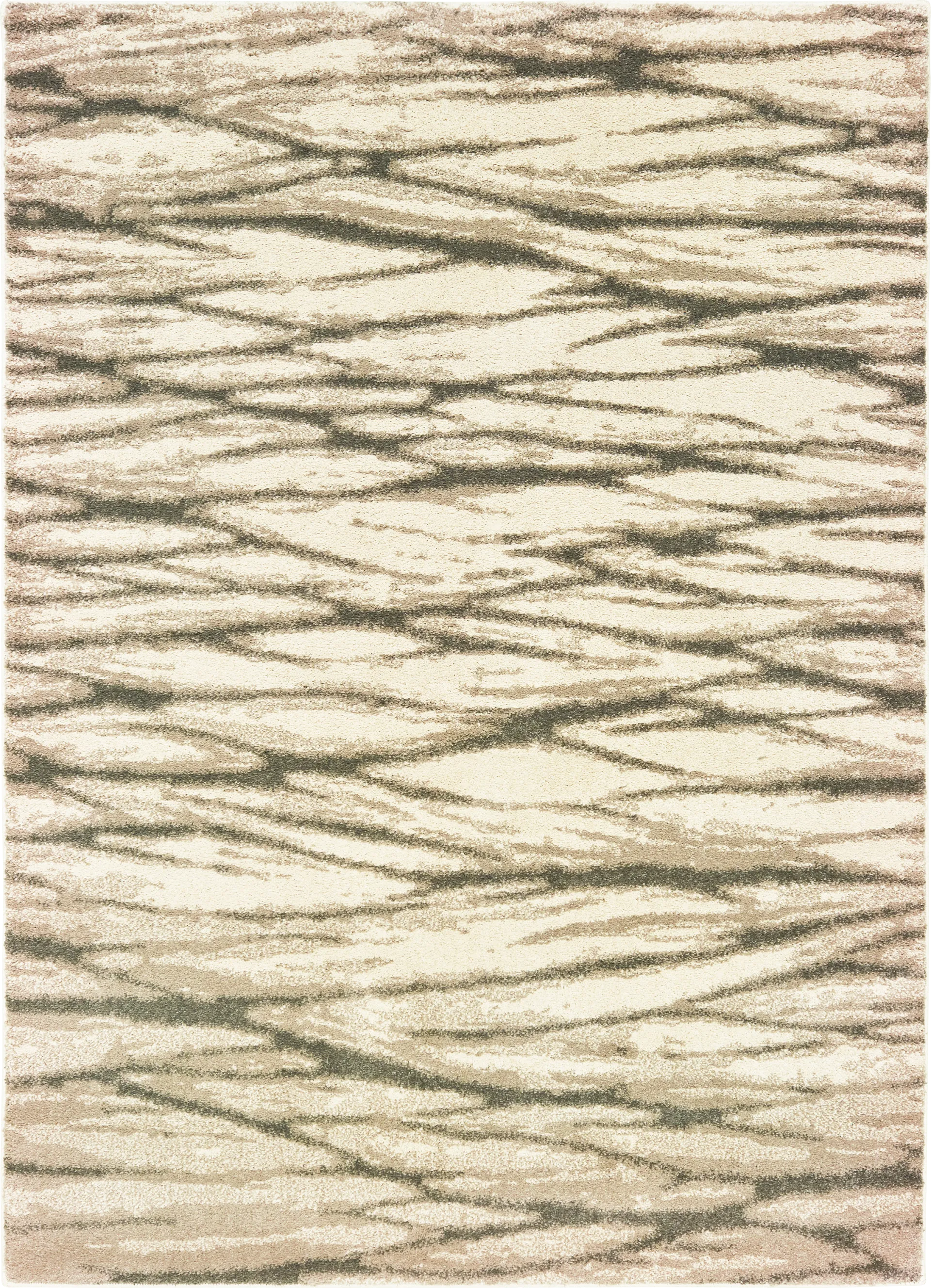 Dariyah Ivory 5'3 x 7'3 Rug - Image 1