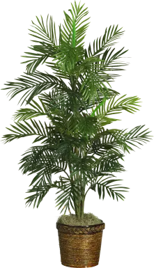 Landyn Green Palm Silk Tree