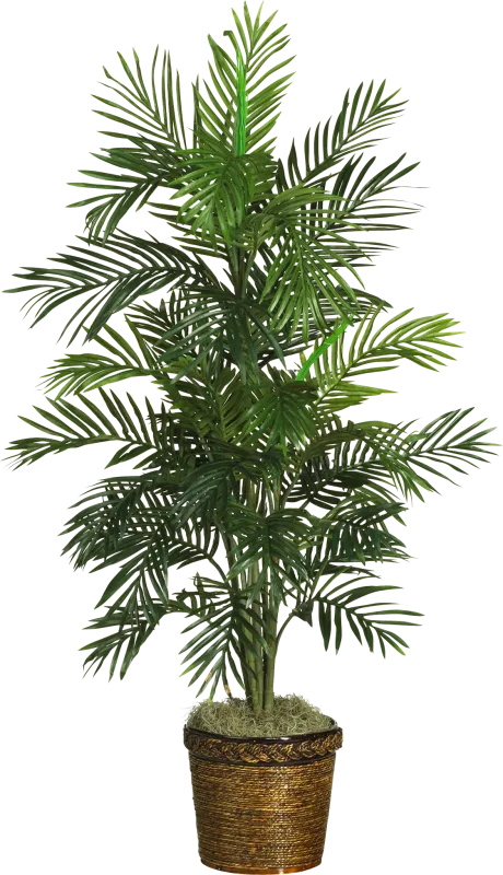Landyn Green Palm Silk Tree