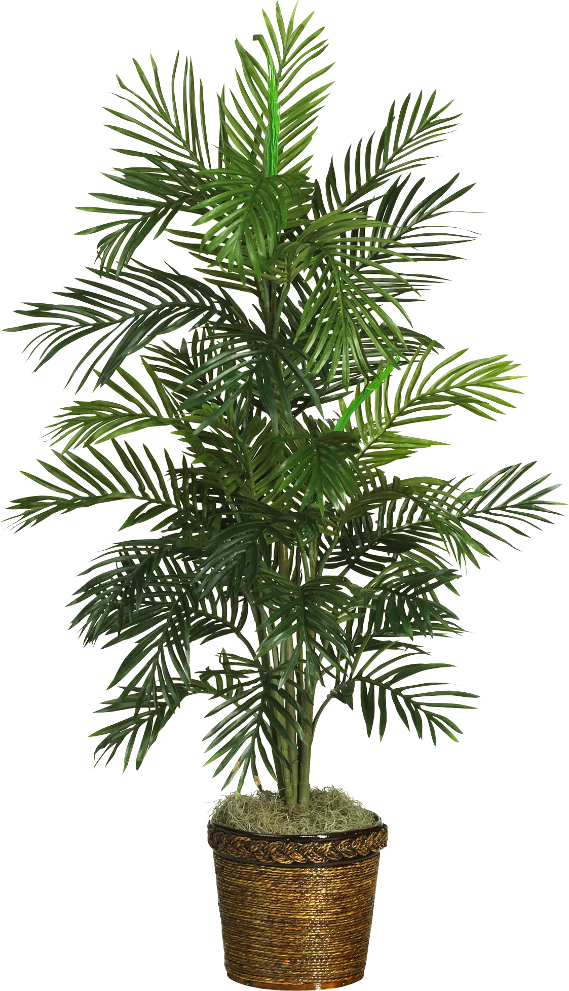 Landyn Green Palm Silk Tree - Image 1