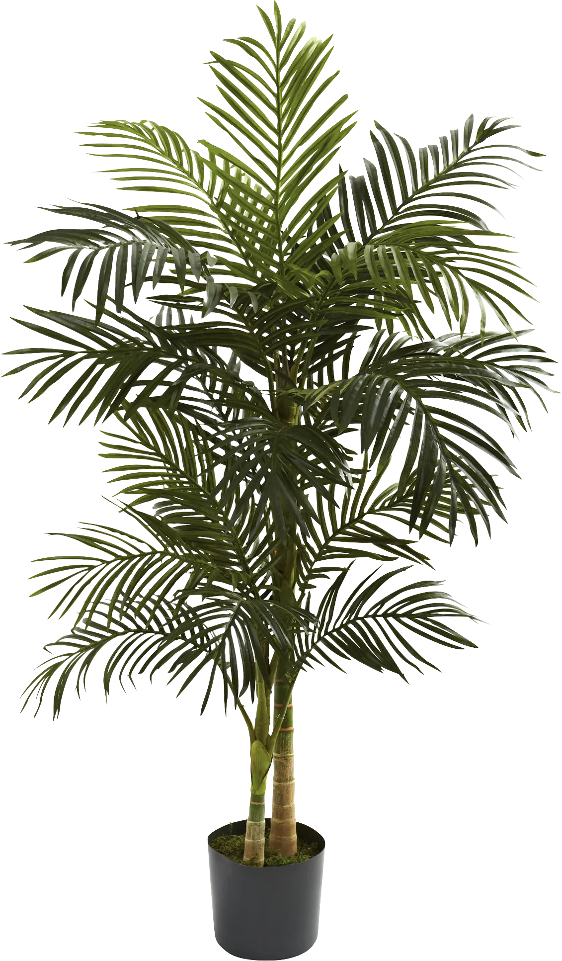 Karsyn Green Medium Palm Silk Tree - Thumbnail - Image 1