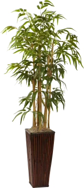 Tayna Green Bamboo Silk Tree