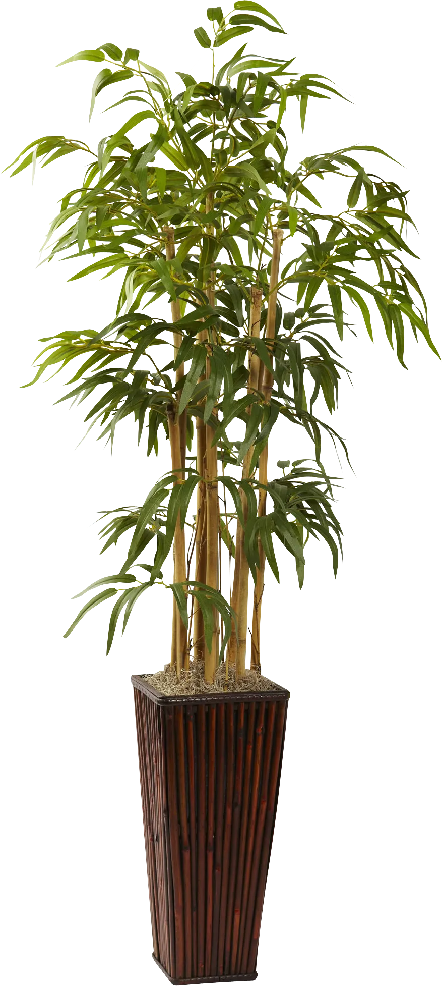 Tayna Green Bamboo Silk Tree - Image 1