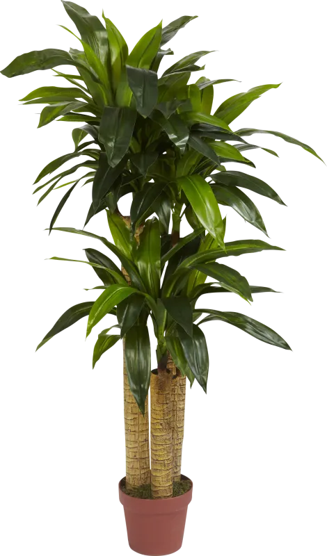 Natlee Green Dracaena Silk Plant