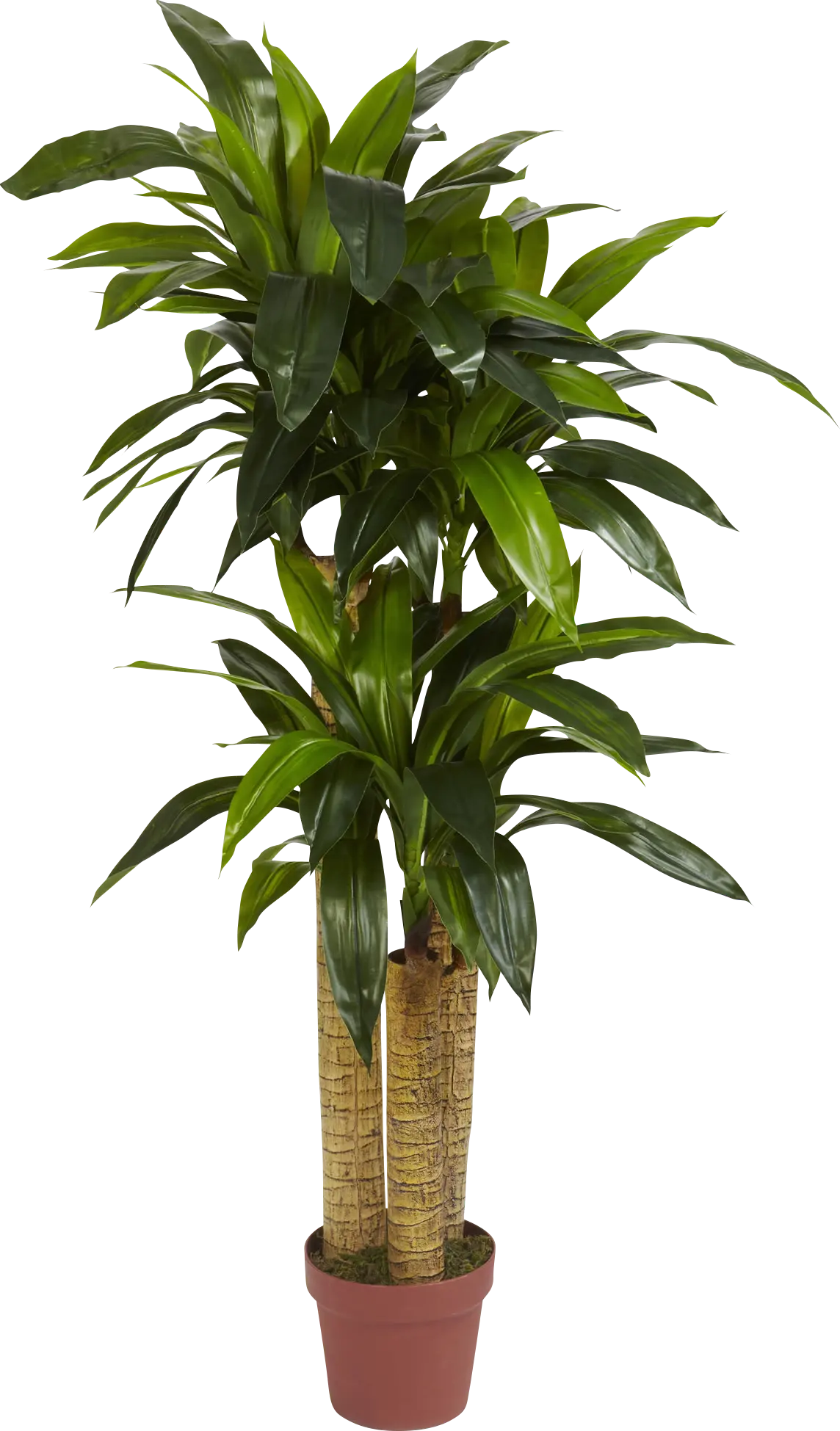Natlee Green Dracaena Silk Plant