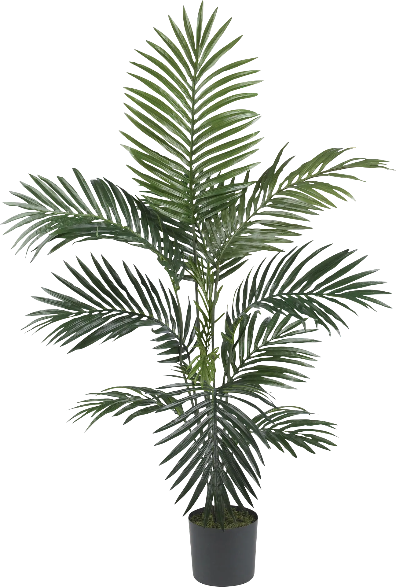 Wyndel Green Palm Silk Tree - Image 1