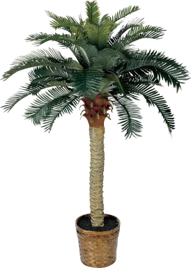 Hendrik Green Palm Silk Tree
