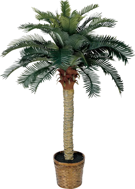 Hendrik Green Palm Silk Tree
