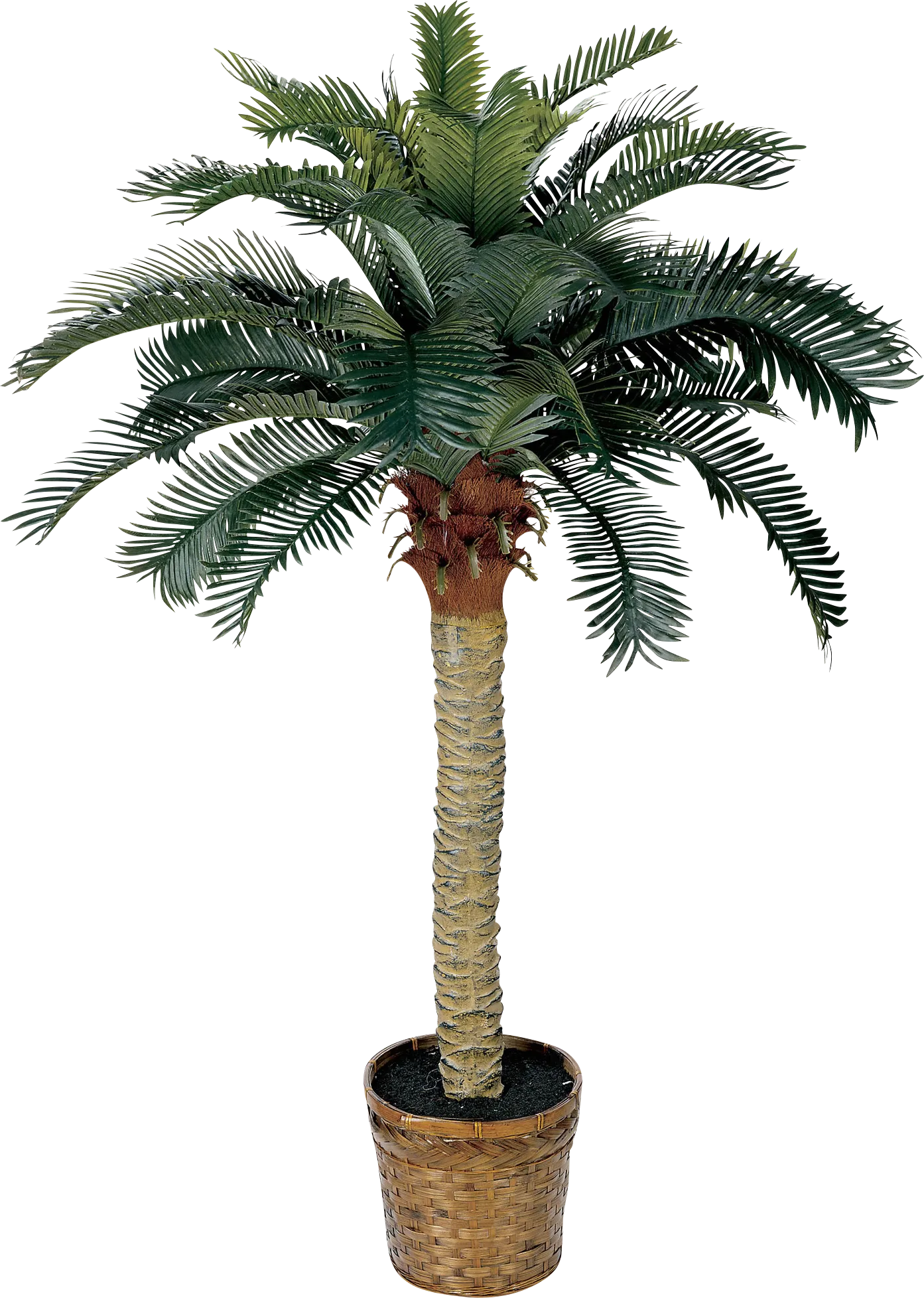 Hendrik Green Palm Silk Tree - Image 1