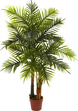 Eiza Green Palm Silk Tree