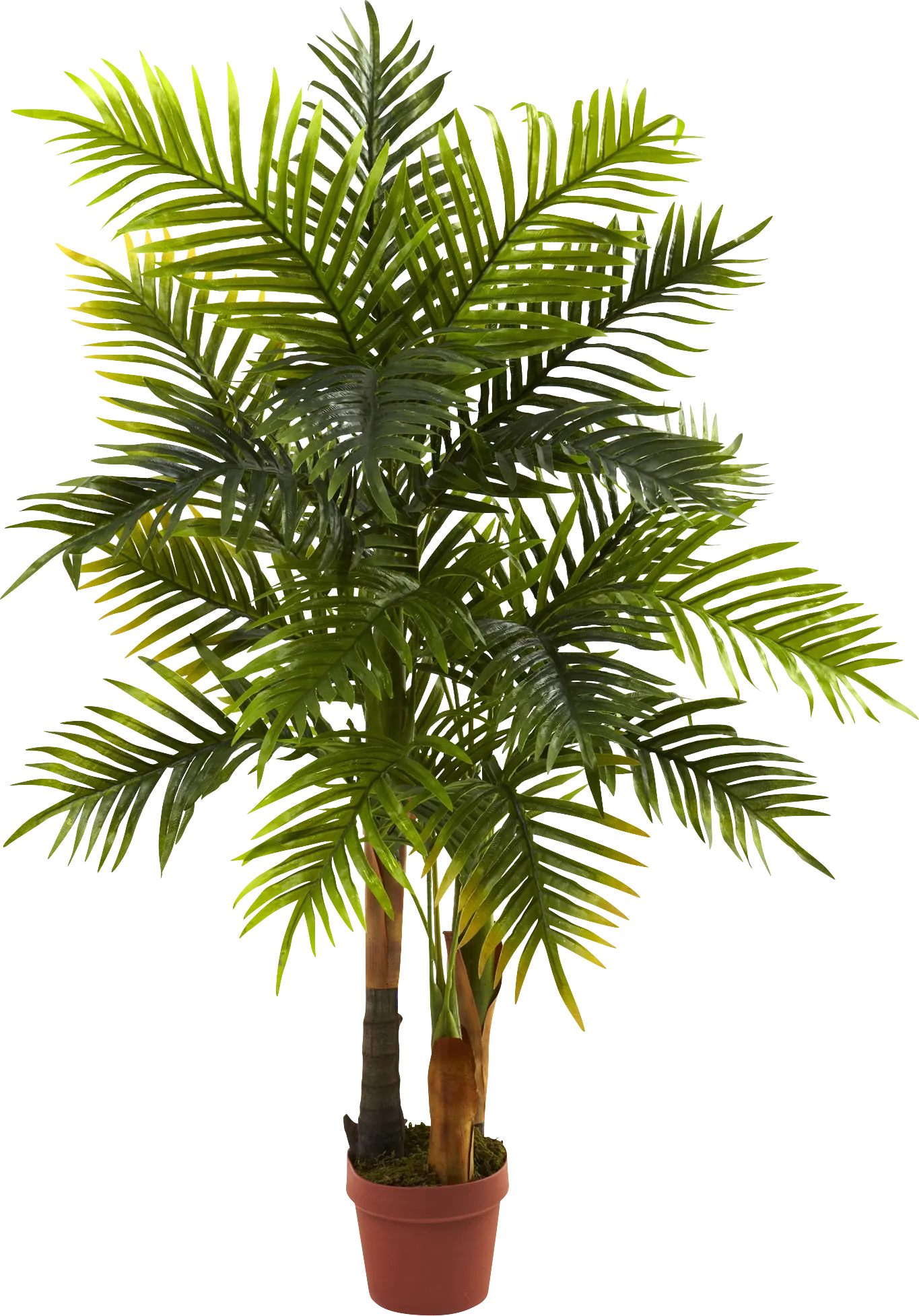 Eiza Green Palm Silk Tree - Image 1