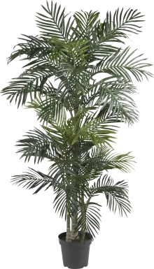 Alyjah Green Palm Silk Tree